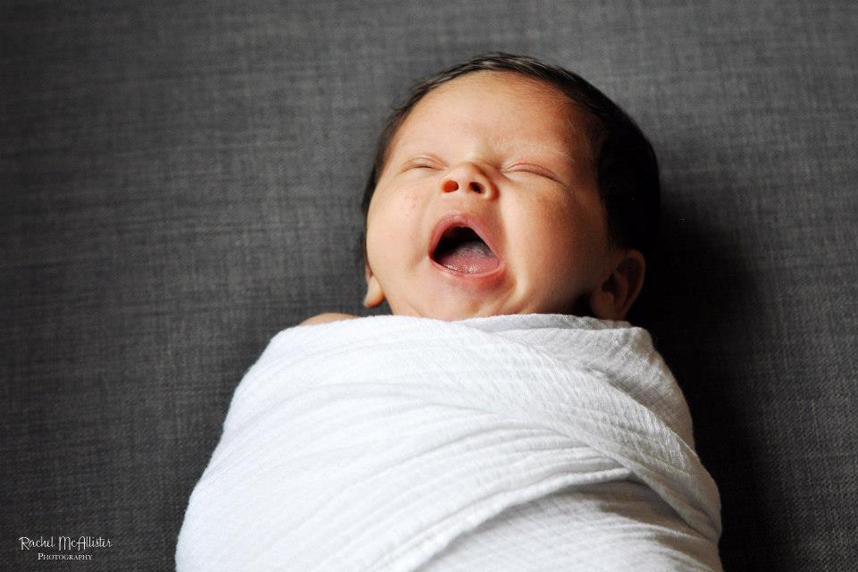 baby greenlaw | chicago newborn photographer