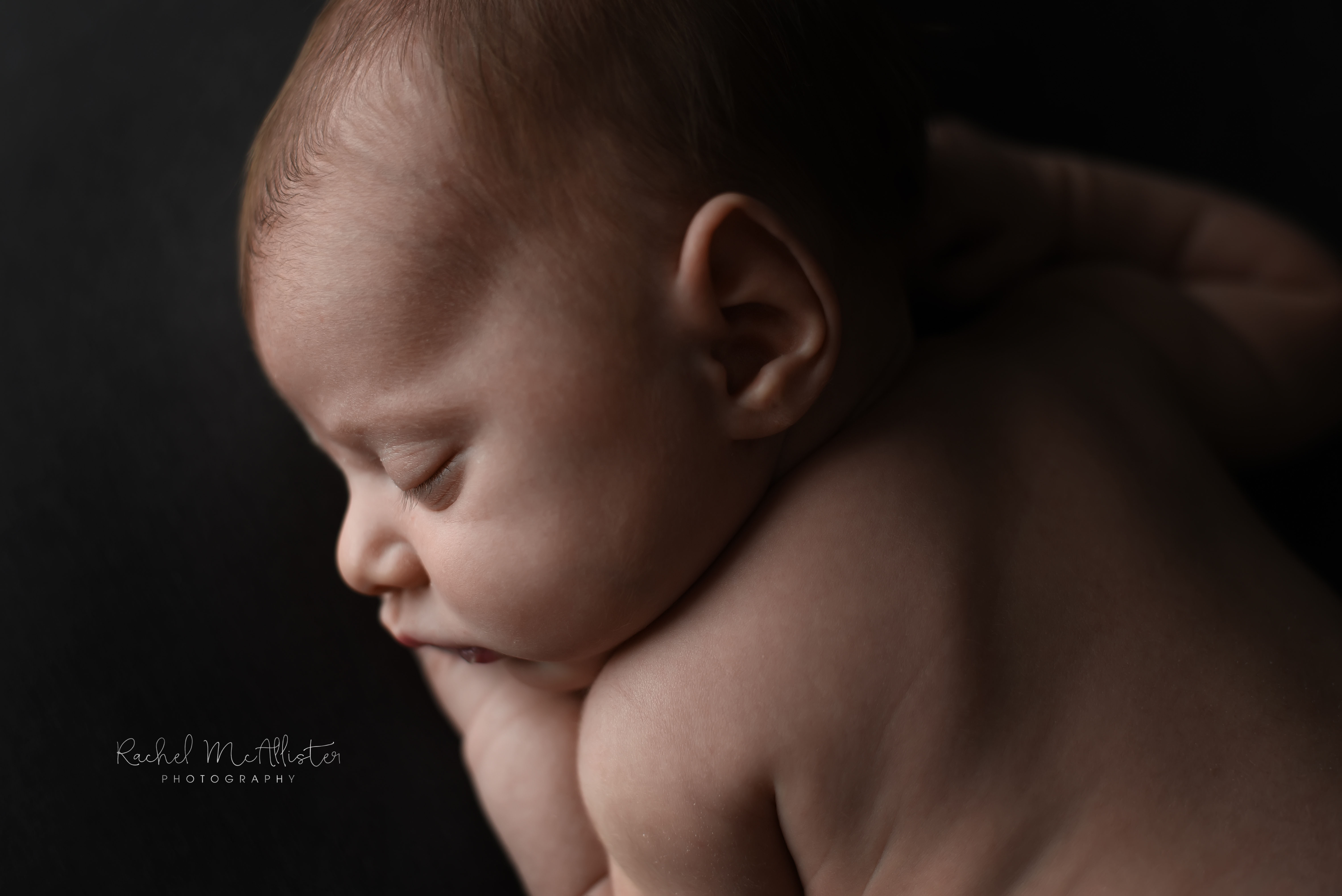 geiger newborn | chicago western suburbs newborn photographer